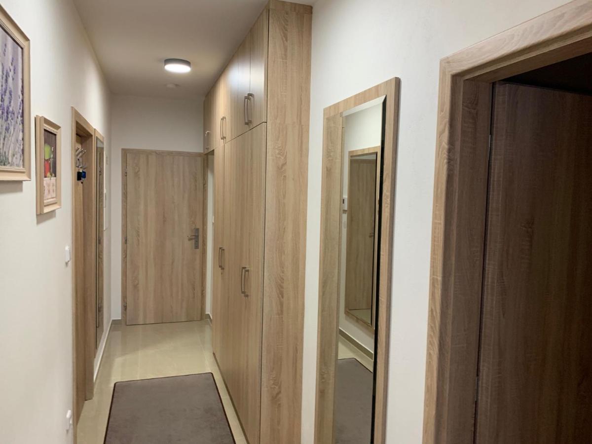 Apartment Rezidence - Javor & Wellness Železná Ruda Zewnętrze zdjęcie