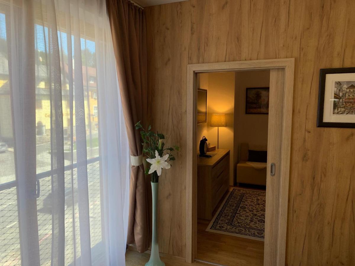 Apartment Rezidence - Javor & Wellness Železná Ruda Zewnętrze zdjęcie