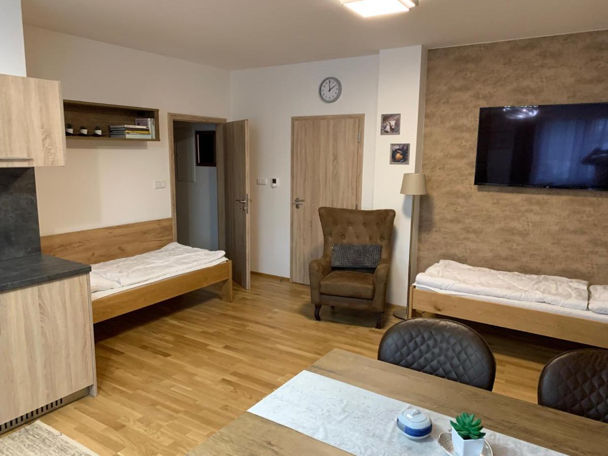 Apartment Rezidence - Javor & Wellness Železná Ruda Zewnętrze zdjęcie